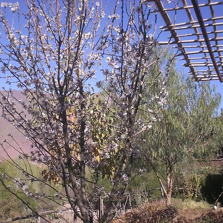 Auberge Tigmmi N'Tamazirte อิจโจกัก ภายนอก รูปภาพ